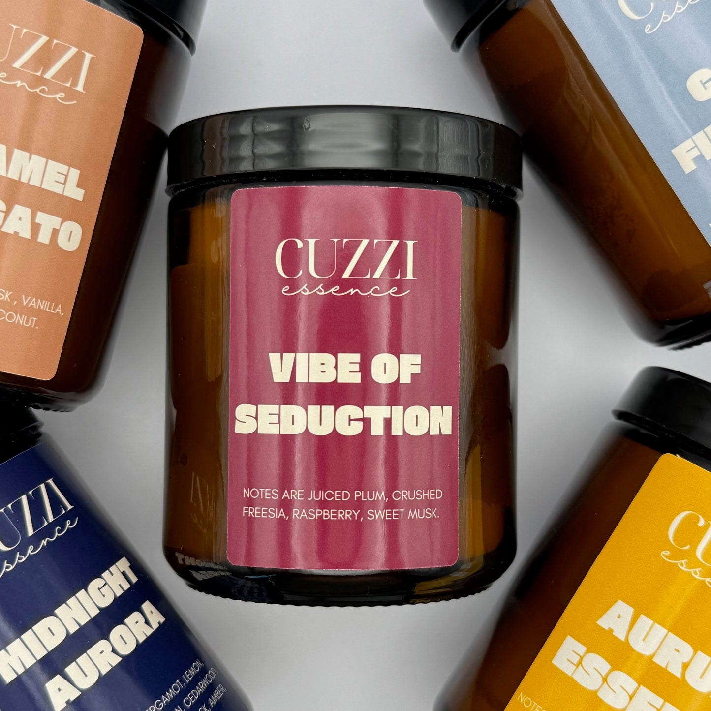 Vibe of Seduction - The Charm of Seduction