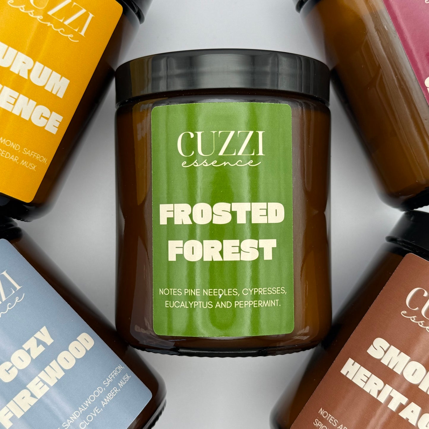 Frosted Forest - The Charm of the Frozen Forest